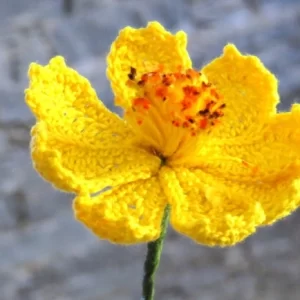 Crochet pdf pattern for realistic cosmos flower